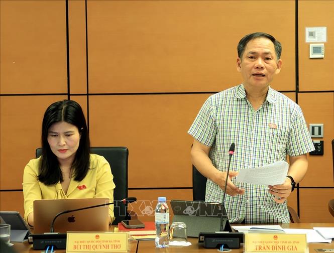 Đại biểu Quốc hội tỉnh Hà Tĩnh Trần Đình Gia phát biểu ở tổ. Ảnh: Tuấn Anh - TTXVN