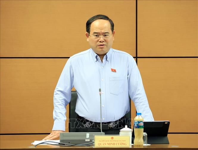 Đại biểu Quốc hội tỉnh Quảng Ninh Quản Minh Cường phát biểu ở tổ. Ảnh: Tuấn Anh - TTXVN