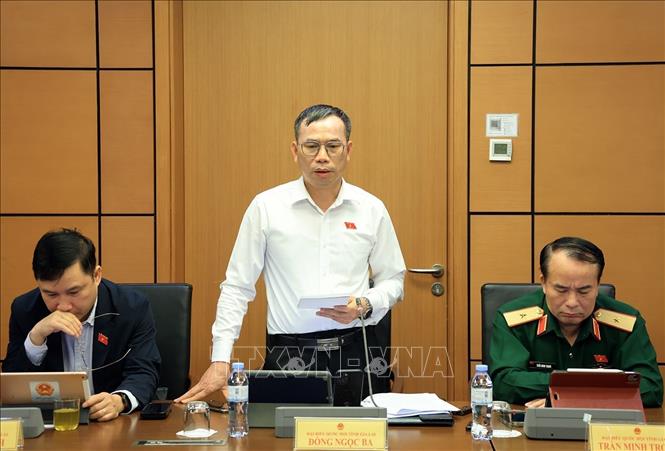 Đại biểu Quốc hội tỉnh Gia Lai Đồng Ngọc Ba phát biểu ở tổ. Ảnh: Tuấn Anh - TTXVN