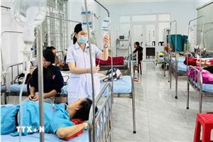 Vụ ngộ độc bánh mỳ ở Đắk Lắk: Mẫu bệnh phẩm và thực phẩm nhiễm khuẩn Salmonella