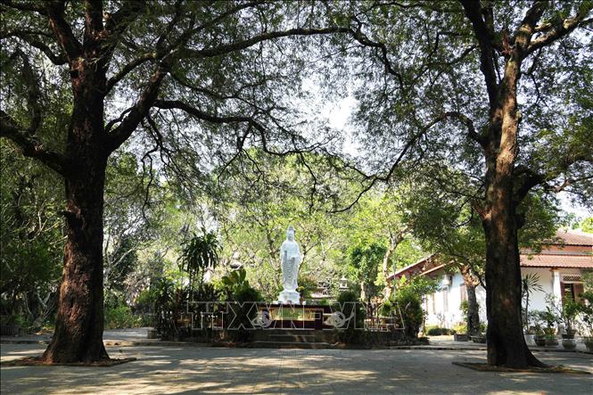 Tượng Quán Thế Âm Bồ Tát trong khuôn viên chùa Báo Quốc ở thành phố Huế. Ảnh: Nguyên Lý - TTXVN