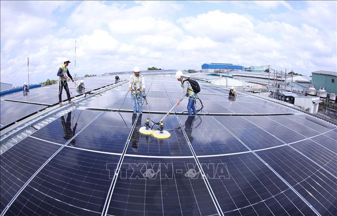 Tập đoàn Thuỷ sản Minh Phú ở phường Lý Văn Lâm, tỉnh Cà Mau triển khai lắp đặt hệ thống điện mặt trời mái nhà với công suất phát điện trung bình 200.000 KWh, mỗi tháng tiết kiệm chi phí sản xuất khoảng 38%, tương đương tiết kiệm khoảng 95.000 KWh/tháng. Ảnh: Vũ Sinh - TTXVN