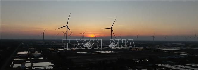Nhà máy Điện gió Hoà Bình 5 - giai đoạn 1 (Công ty Cổ phần Đầu tư Hacom Holdings), thuộc địa bàn xã Vĩnh Hậu, tỉnh Cà Mau, có 26 trụ turbine gió, sản lượng khai thác bình quân 280 triệu kWh/ năm. Ảnh: Vũ Sinh – TTXVN
