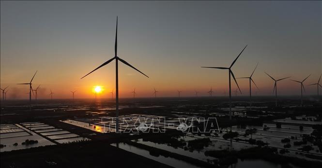 Nhà máy Điện gió Hoà Bình 5 - giai đoạn 1 (Công ty Cổ phần Đầu tư Hacom Holdings), thuộc địa bàn xã Vĩnh Hậu, tỉnh Cà Mau, có 26 trụ turbine gió, sản lượng khai thác bình quân là 280 triệu kWh/ năm. Ảnh: Vũ Sinh – TTXVN
