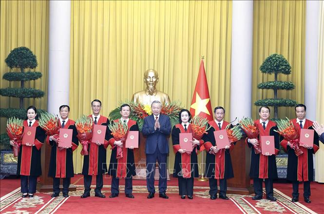 Tổng Bí thư, Chủ tịch nước Tô Lâm trao Quyết định bổ nhiệm chức danh Thẩm phán Toà án nhân dân Tối cao cho các thẩm phán. Ảnh: Thống Nhất – TTXVN