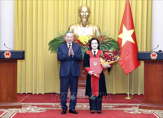 Tổng Bí thư, Chủ tịch nước Tô Lâm trao Quyết định bổ nhiệm chức vụ Phó Chánh án Tòa án nhân dân Tối cao đối với Thẩm phán Tòa án nhân dân Tối cao Nguyễn Hải Trâm. Ảnh: Thống Nhất – TTXVN