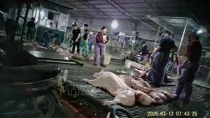 Cần chế tài nghiêm khắc với đối tượng kinh doanh thực phẩm 'bẩn'