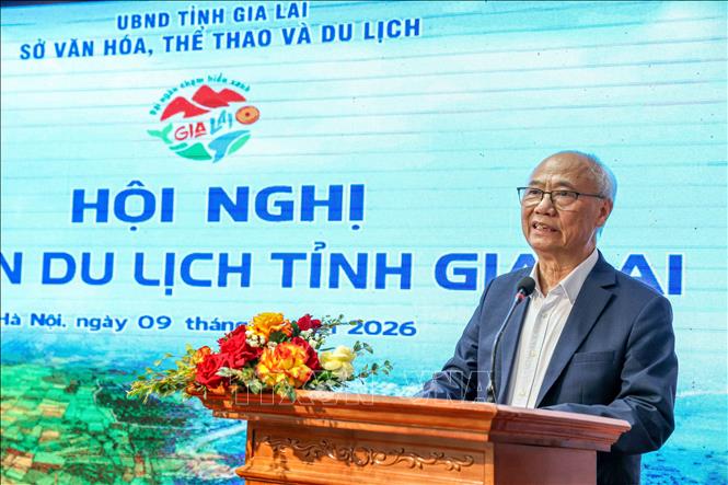 Ông Vũ Thế Bình, Chủ tịch Hiệp hội Du lịch Việt Nam phát biểu. Ảnh: Khánh Hoà - TTXVN