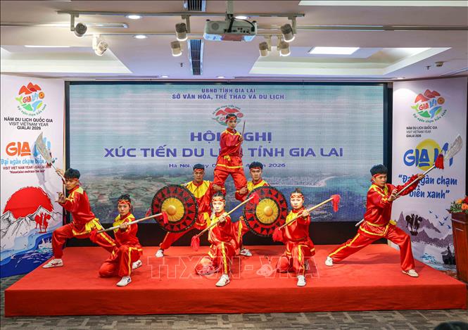 Tiết mục võ thuật mang đậm bản sắc văn hoá của tỉnh Gia Lai biểu diễn tại Hội nghị. Ảnh: Khánh Hoà - TTXVN