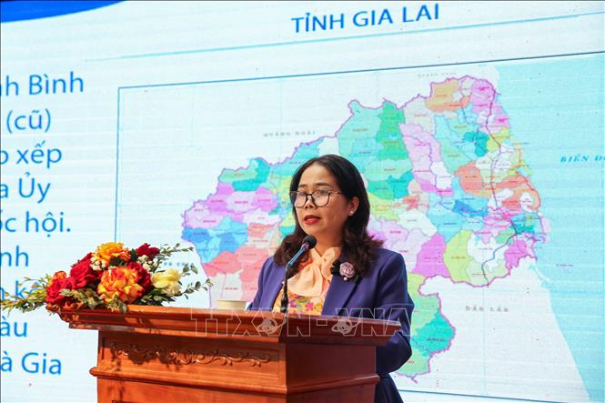 Bà Đỗ Thị Diệu Hạnh, Giám đốc Sở Văn hoá, Thể thao và Du Lịch Gia Lai phát biểu. Ảnh: Khánh Hoà - TTXVN