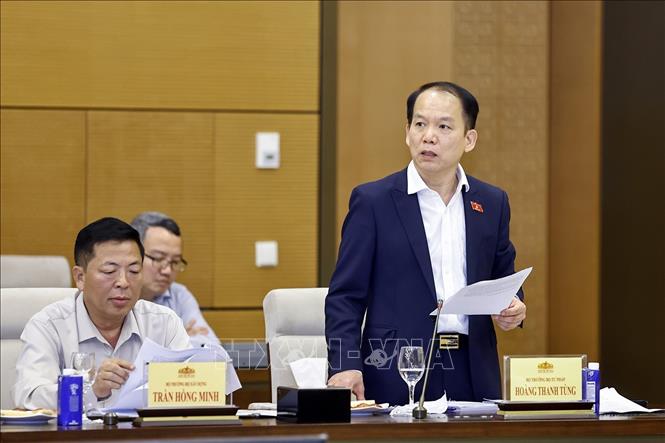 Bộ trưởng Tư pháp Hoàng Thanh Tùng phát biểu. Ảnh: Doãn Tấn - TTXVN