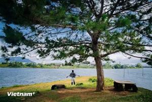 Gia Lai: Đa trải nghiệm, một hành trình cùng Năm Du lịch Quốc gia 2026