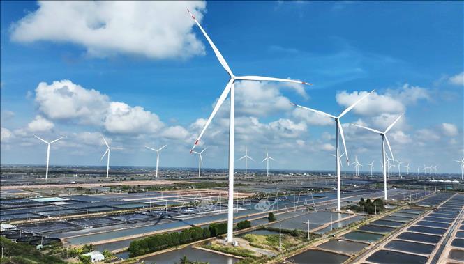 Nhà máy Điện gió Hoà Bình 5 - giai đoạn 1, thuộc địa bàn xã Vĩnh Hậu, tỉnh Cà Mau, là nhà máy điện gió quy mô lớn nhất trên đất liền ven biển tại khu vực Đồng bằng sông Cửu Long, đưa vào sử dụng tháng 4/2022. Ảnh: Vũ Sinh – TTXVN