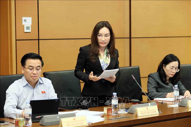 Đại biểu Quốc hội thành phố Hải Phòng Phạm Thu Xanh thảo luận tại tổ. Ảnh: An Đăng - TTXVN
