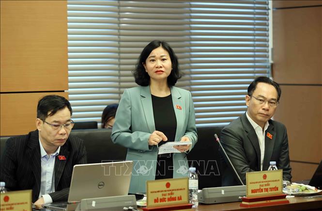Đại biểu Quốc hội thành phố Hà Nội Nguyễn Thị Tuyến thảo luận tại tổ. Ảnh: An Đăng - TTXVN