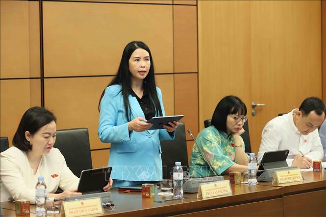 Đại biểu Quốc hội thành phố Hải Phòng Trần Lan Phương thảo luận tại tổ. Ảnh: An Đăng - TTXVN