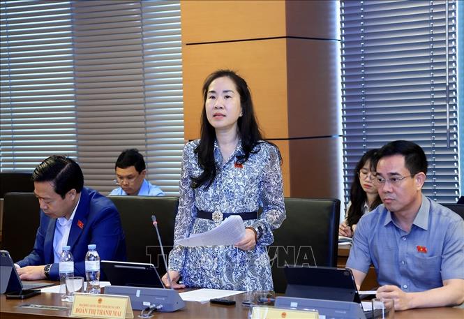 Đại biểu Quốc hội tỉnh Hưng Yên Đoàn Thị Thanh Mai phát biểu. Ảnh: Tuấn Anh - TTXVN