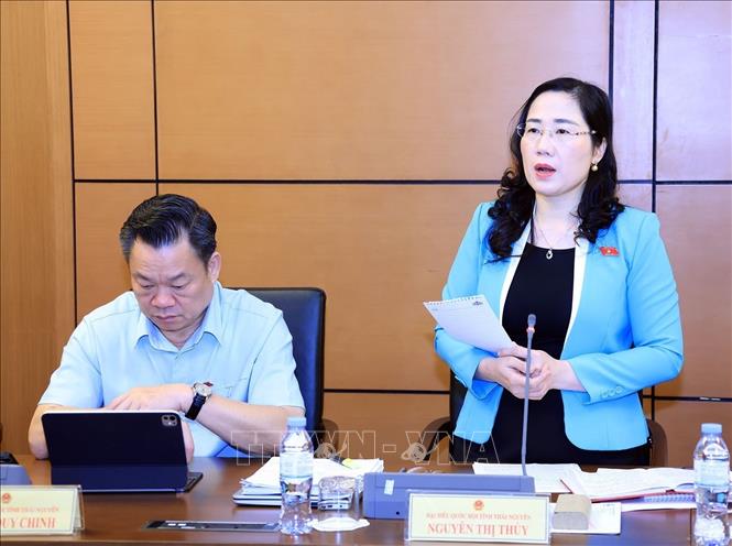 Đại biểu Quốc hội tỉnh Thái Nguyên Nguyễn Thị Thuý phát biểu. Ảnh: Tuấn Anh - TTXVN