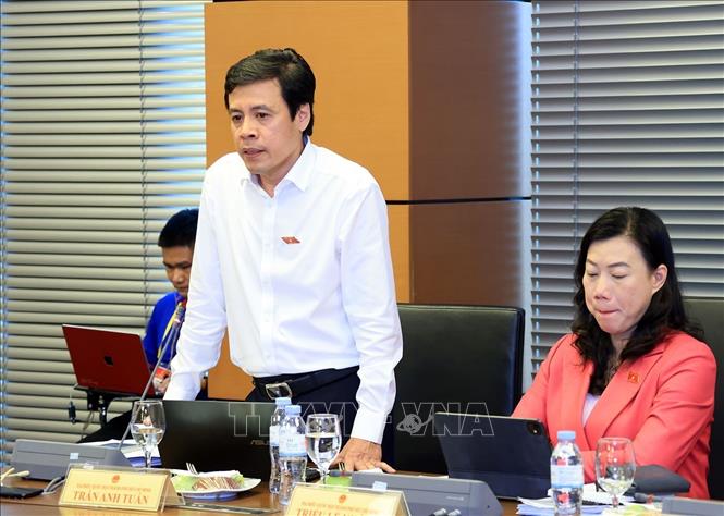 Đại biểu Quốc hội Thành phố Hồ Chí Minh Trần Anh Tuấn phát biểu. Ảnh: Tuấn Anh - TTXVN