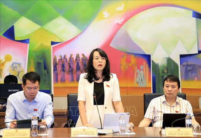 Đại biểu Quốc hội tỉnh Lâm Đồng Phạm Thị Hồng Yến phát biểu. Ảnh: Tuấn Anh - TTXVN