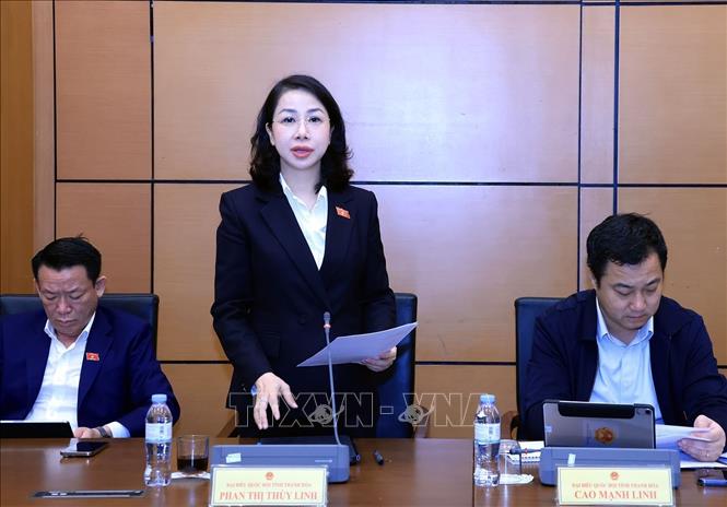 Đại biểu Quốc hội tỉnh Thanh Hoá Phan Thị Thuỳ Linh phát biểu. Ảnh: Tuấn Anh - TTXVN