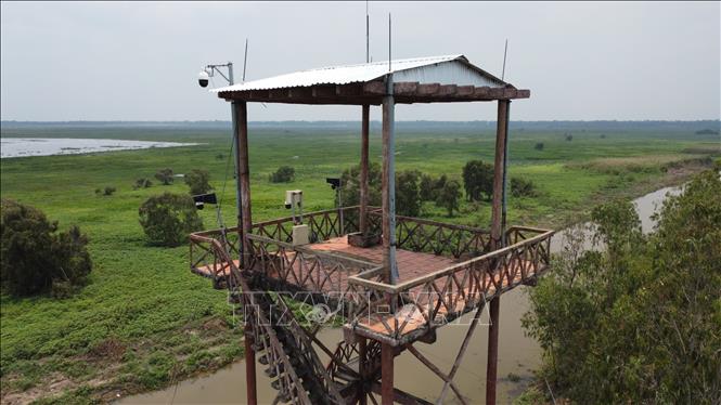 Camera lắp đặt tại các tháp quan sát trong rừng của Vườn Quốc gia Tràm Chim. Ảnh: Nhựt An - TTXVN