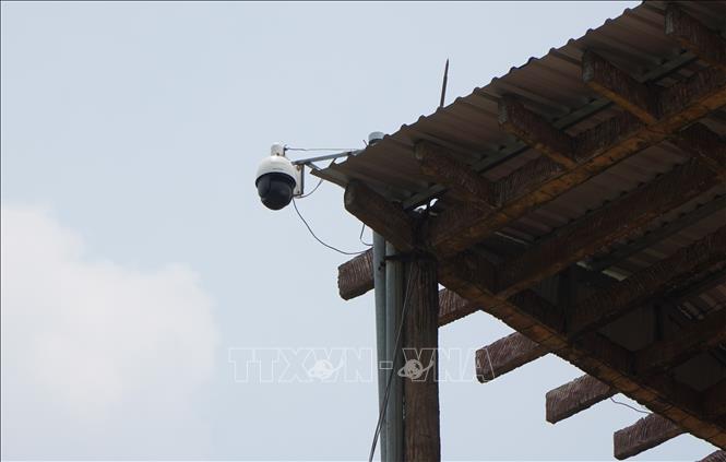 Nhiều camera lắp đặt trong rừng để phục vụ công tác quản lý, bảo vệ tài nguyên và phòng, chống cháy rừng. Ảnh: Nhựt An - TTXVN