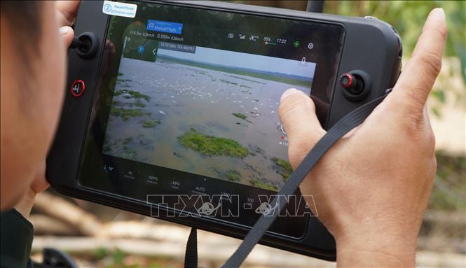 Quan sát vùng lõi của rừng từ trên cao thông qua thiết bị flycam chuyên dụng. Ảnh: Nhựt An - TTXVN