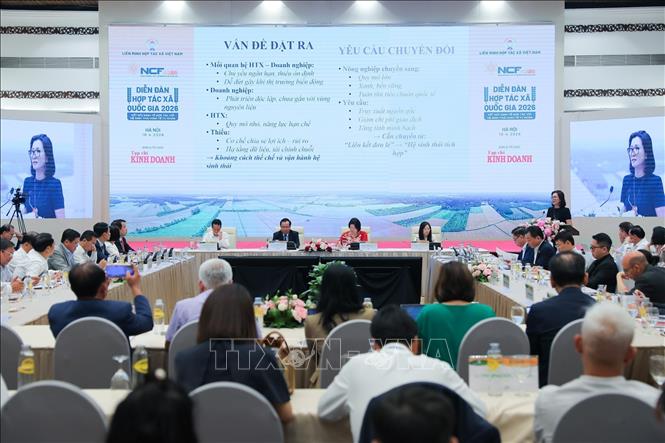 Bà Nguyễn Thị Hoàng Yến, Phó Cục trưởng Cục Kinh tế hợp tác và Phát triển nông thôn, Bộ Nông nghiệp và Môi trường phát biểu tại Diễn đàn. Ảnh: Lê Đông - TTXVN