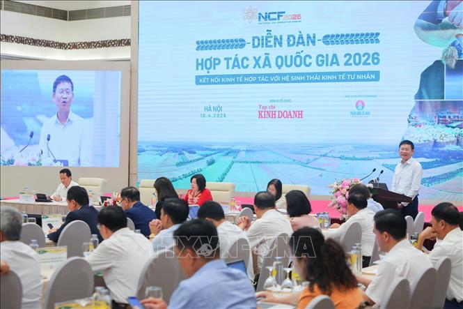 Ông Trương Anh Đức, Luật sư, Trọng tài Quốc tế phát biểu. Ảnh: Lê Đông - TTXVN