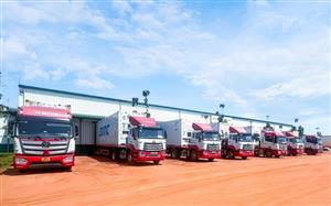 THILOGI tối ưu giải pháp chuỗi lạnh cho trái cây tươi xuất khẩu