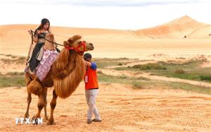 Mũi Né bất ngờ trở thành điểm đến xu hướng toàn cầu năm 2026