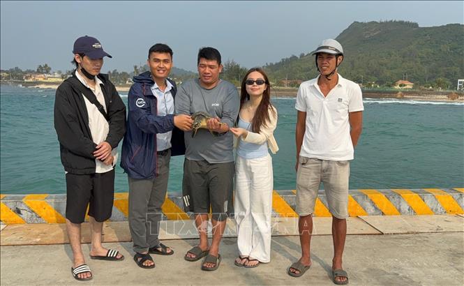 Khách du lịch tham gia thả rùa biển bị mắc lưới về môi trường tự nhiên. Ảnh: TTXVN phát