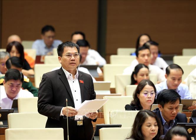 Đại biểu Quốc hội tỉnh Lâm Đồng Dương Khắc Mai phát biểu. Ảnh: Tuấn Anh - TTXVN