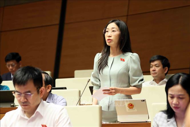Đại biểu Quốc hội tỉnh Tây Ninh Hoàng Thị Thanh Thúy phát biểu. Ảnh: An Đăng - TTXVN