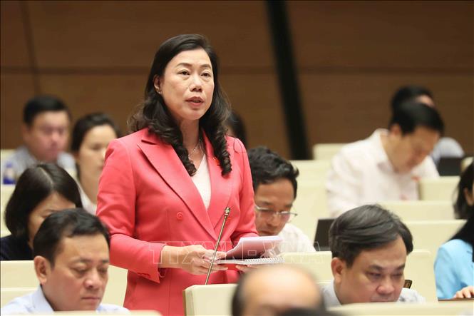 Đại biểu Quốc hội thành phố Hồ Chí Minh Triệu Lệ Khánh phát biểu. Ảnh: An Đăng - TTXVN