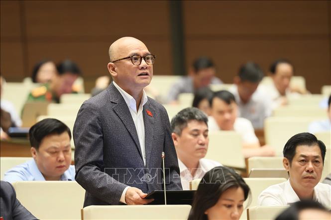 Đại biểu Quốc hội tỉnh Đắk Lắk Bế Trung Anh phát biểu. Ảnh: An Đăng - TTXVN