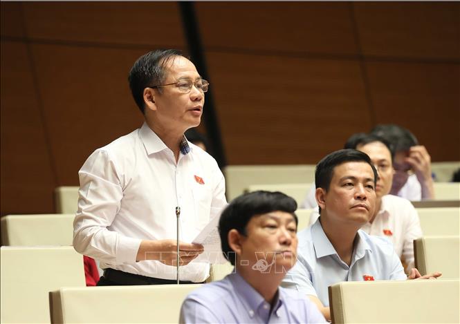 Đại biểu Quốc hội tỉnh Hà Tĩnh Trần Đình Gia phát biểu. Ảnh: An Đăng - TTXVN