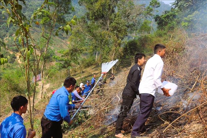 Người dân và lực lượng đoàn viên thanh niên tham gia dập tắt đám cháy rừng. Ảnh: TTXVN phát 
