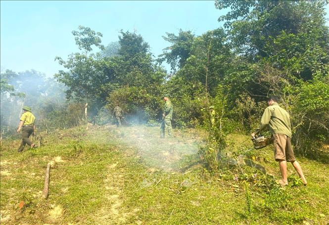 Lực lượng biên phòng, kiểm lâm tiếp cận đám cháy, tạo đường băng cản lửa nhằm tránh ngọn lửa lan nhanh sang diện tích rừng liền kề. Ảnh: TTXVN phát 