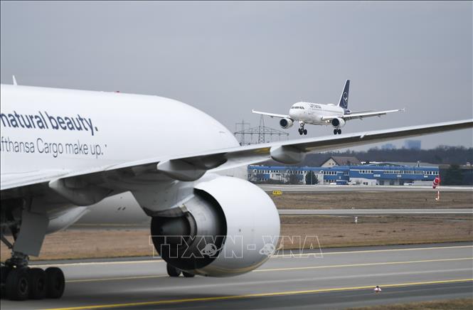 Máy bay của hãng hàng không Lufthansa tại sân bay Frankfurt, Đức. Ảnh: THX/TTXVN