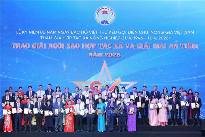 Trao Giải thưởng “Mai An Tiêm” năm 2026 lần 2 cho các HTX xuất sắc. Ảnh: Lê Đông - TTXVN