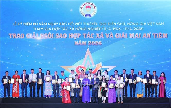 Trao Giải thưởng “Mai An Tiêm” năm 2026 lần 1 cho các HTX xuất sắc. Ảnh: Lê Đông - TTXVN