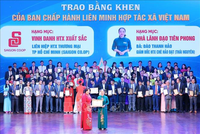 TS Cao Xuân Thu Vân, Bí thư Đảng uỷ, Chủ tịch Liên minh Hợp tác xã Việt Nam, Phó Ban Chủ đạo Quốc gia về kinh tế tập thể trao bằng khen của Ban chấp hành Liên minh HTX Việt Nam cho HTX xuất sắc. Ảnh: Lê Đông - TTXVN