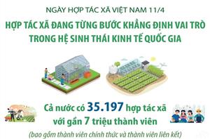 Hợp tác xã đang từng bước khẳng định vai trò trong hệ sinh thái kinh tế quốc gia