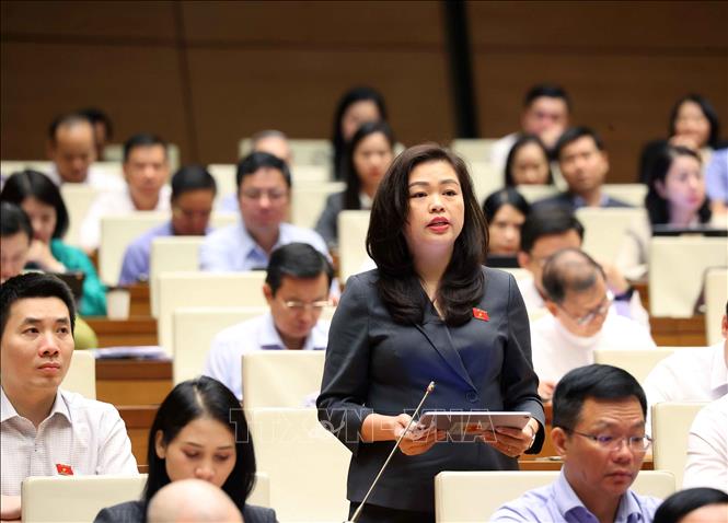 Đại biểu Quốc hội tỉnh Cao Bằng Đoàn Thị Lê An phát biểu. Ảnh: Văn Điệp - TTXVN