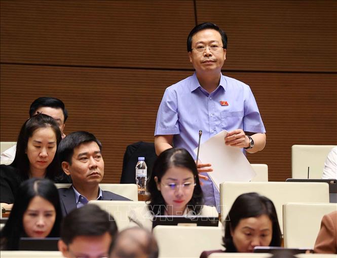 Đại biểu Quốc hội tỉnh Hưng Yên Nguyễn Đại Thắng phát biểu. Ảnh: Văn Điệp - TTXVN