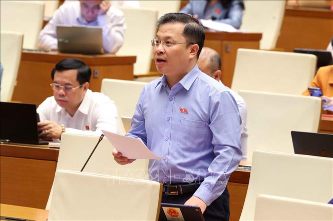 Đại biểu Quốc hội tỉnh An Giang Nguyễn Danh Tú phát biểu. Ảnh: Văn Điệp - TTXVN