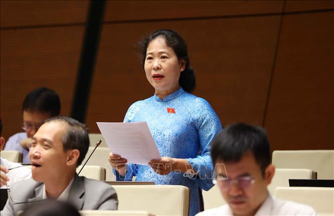 Đại biểu Quốc hội thành phố Cần Thơ Tô Ái Vang phát biểu. Ảnh: Văn Điệp - TTXVN