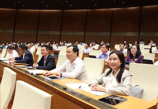 Đoàn đại biểu Quốc hội thành phố Hồ Chí Minh dự phiên họp. Ảnh: Văn Điệp - TTXVN 